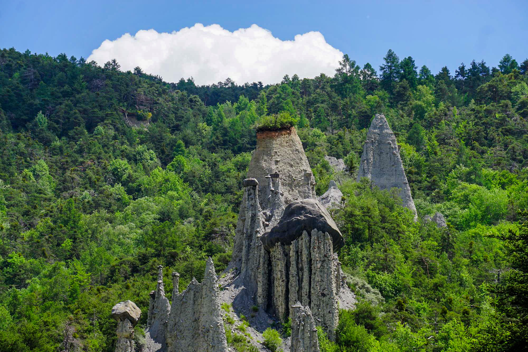 Les demoiselles coiffées