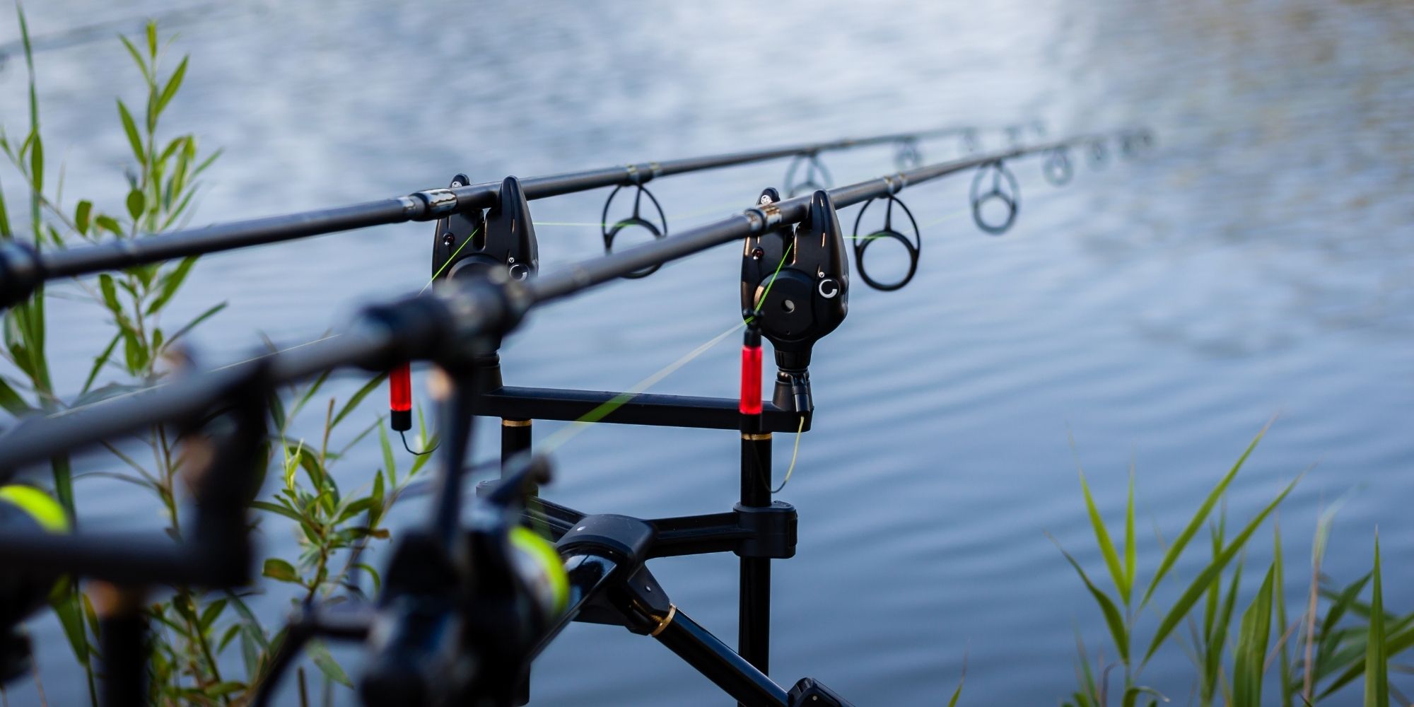 Pêche Camping le petit liou