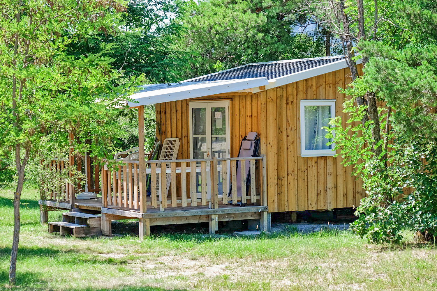 Tithomes Insolite nature