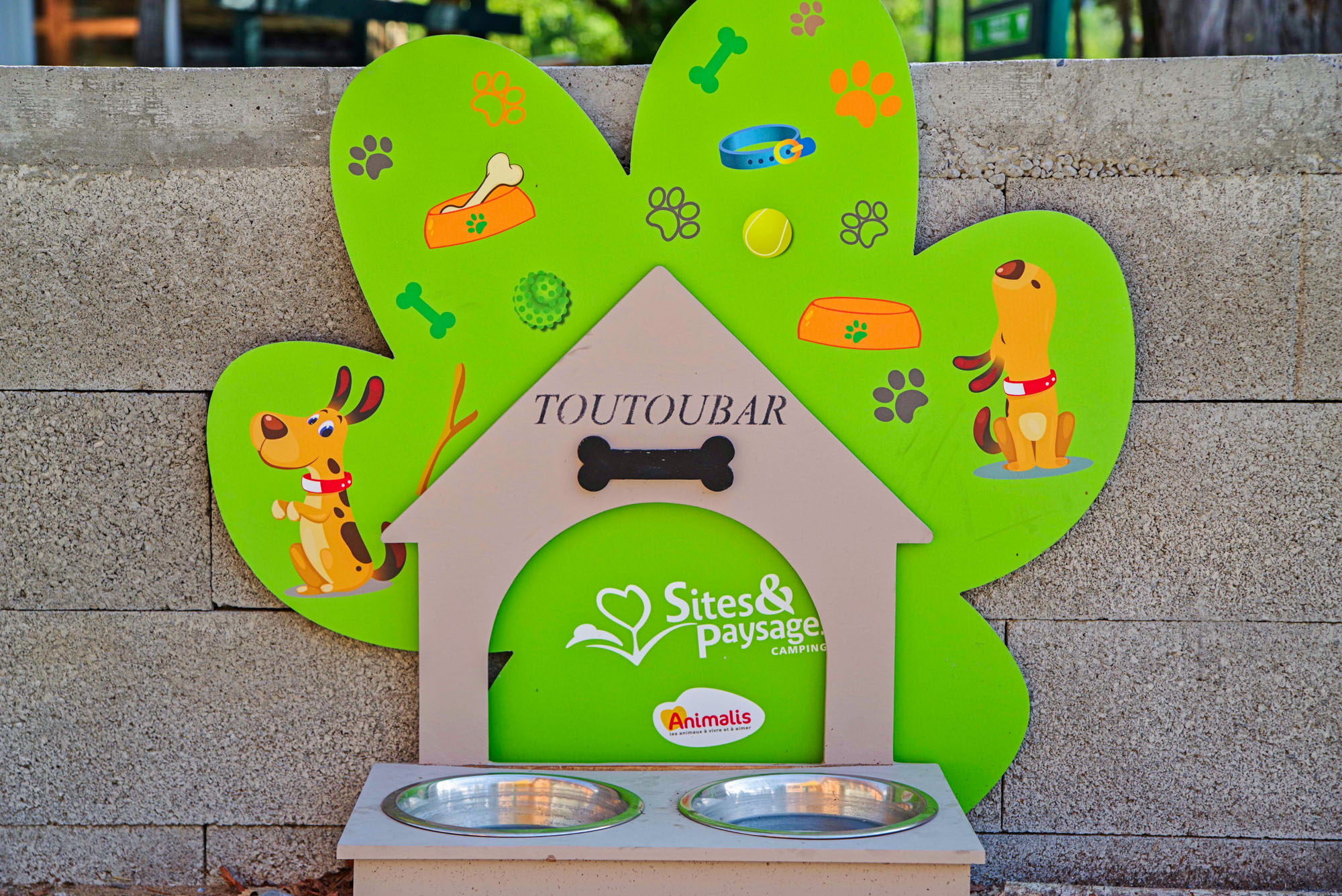 camping pet friendly