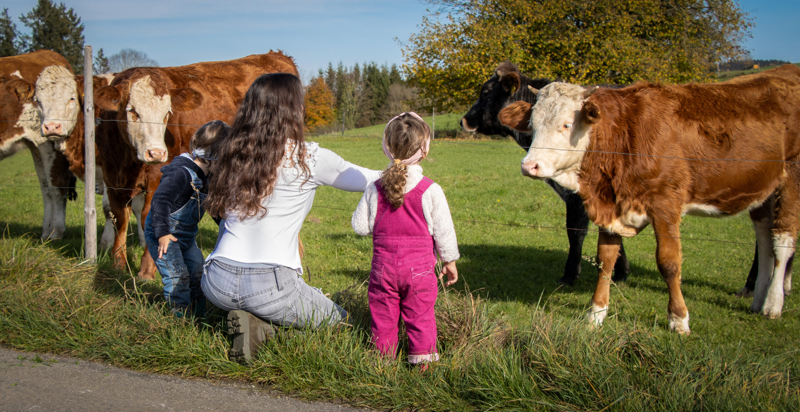 trait de lait en famille hautes alpes